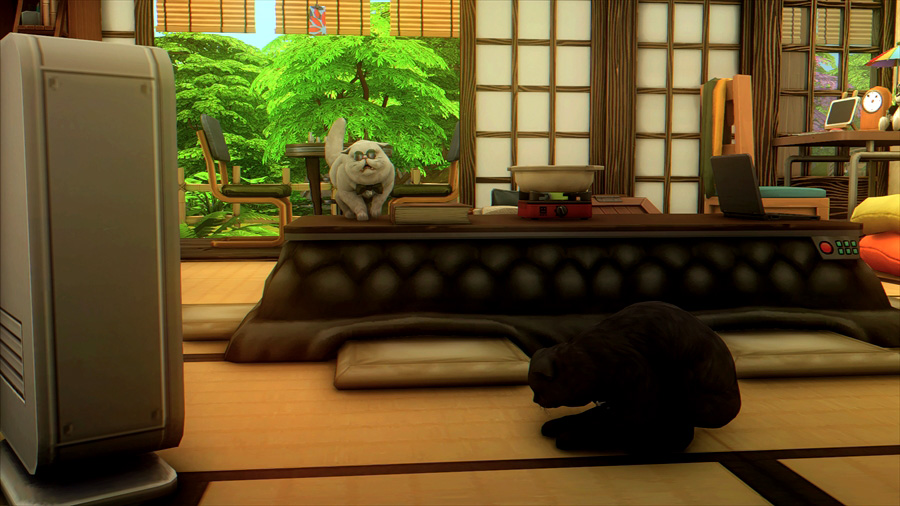 この2匹一緒にいるけど仲が良くないといっていたら早速サトルがスグルに威嚇していました