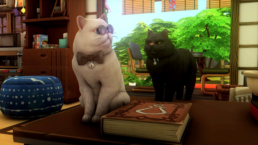 常にシャー!と言っているわけでもないんですが