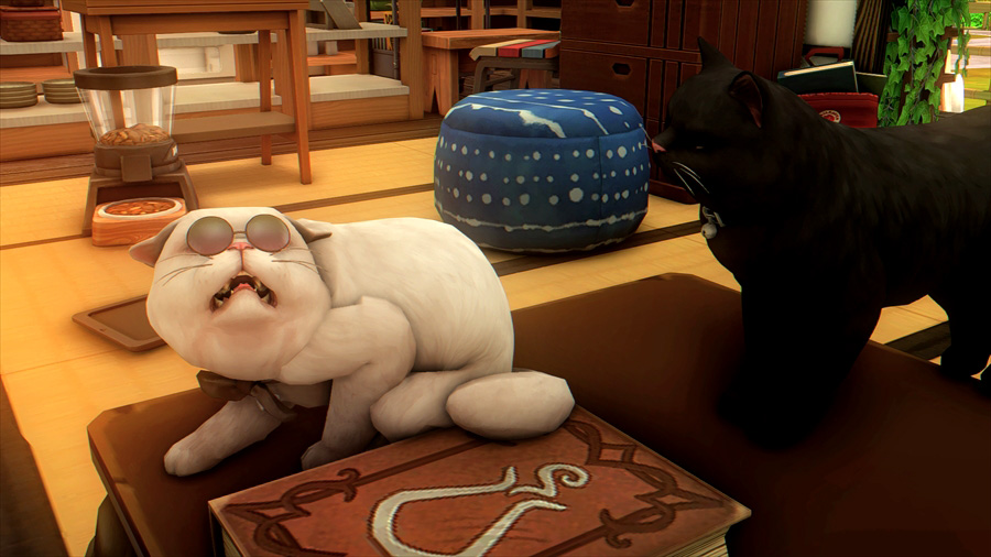 やっぱり基本は嫌らしい。こればかりはしょうがない。仲良くなってよと指示したこともあるんですが2匹は結局仲良くなれませんでした。いいよ君達が元気ならそれで