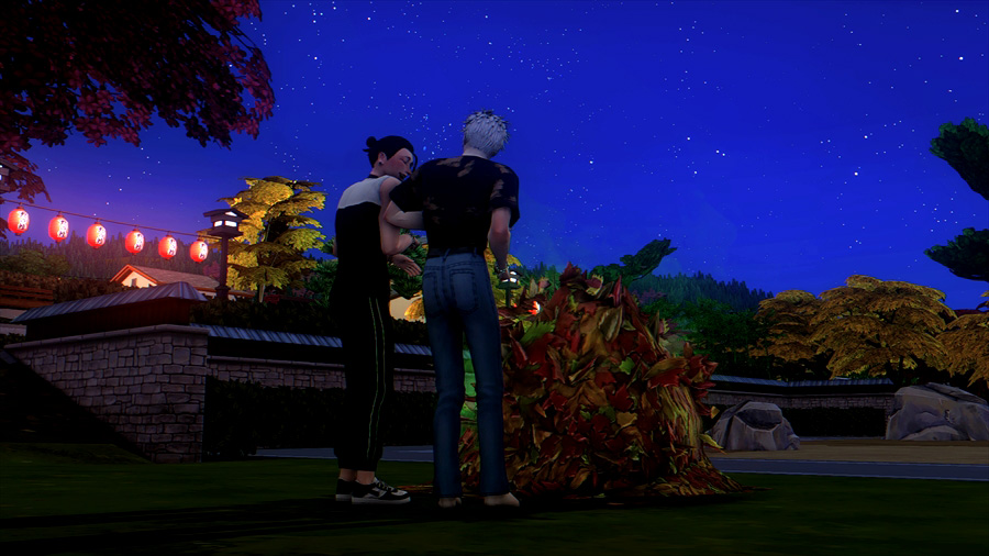 家の区画が狭くで落ち葉の山を作る余裕がないため近所に山が出来ているとチャンスとばかりにウフフの指示を出しているのですが緑の煙が出ているのにお気づきかと思います。落ち葉がタッチの差で腐り始めました